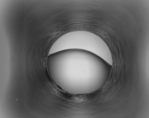 X0000088400423200705220825