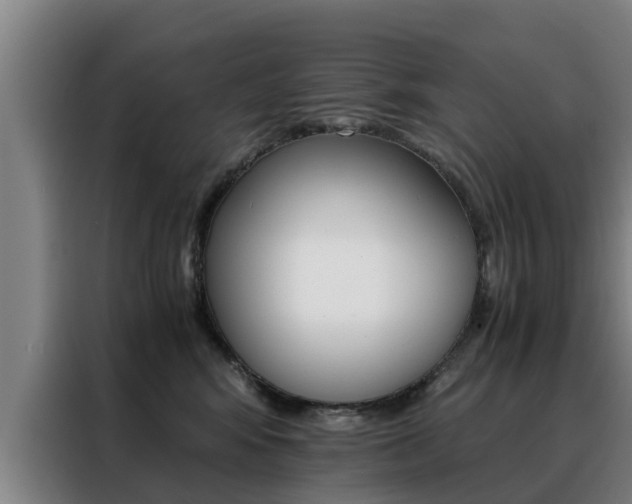 X0000088400424200705220825