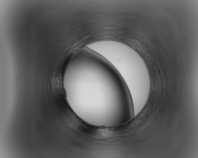 X0000088400425200705220825