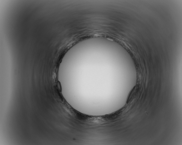 X0000088400427200705220825