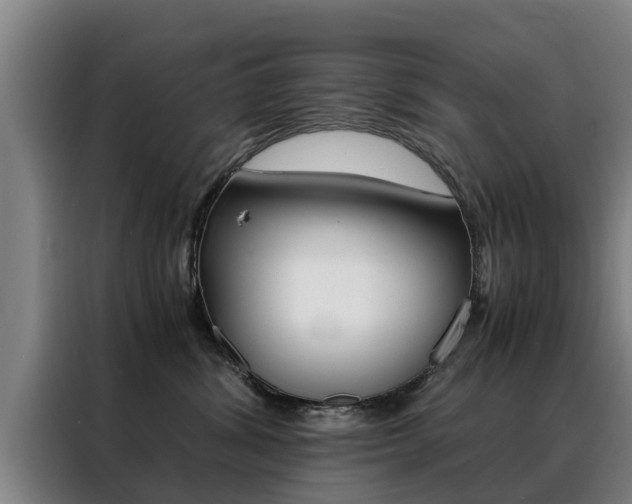 X0000088400428200705220825