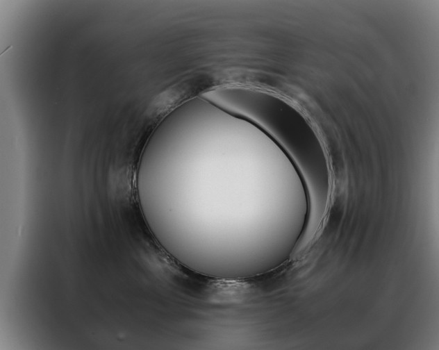 X0000088400429200705220825