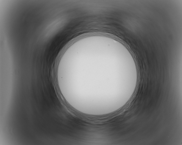 X0000088400431200705220825