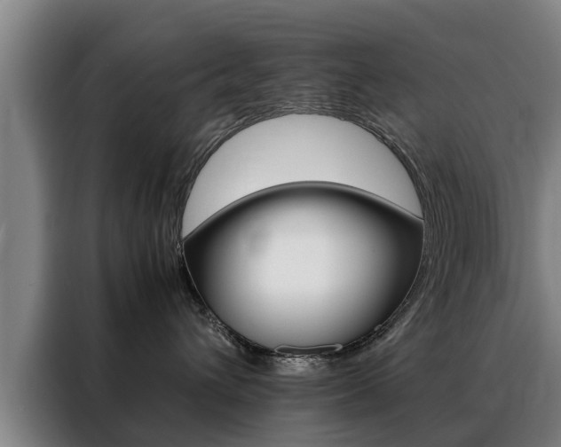 X0000088400432200705220825