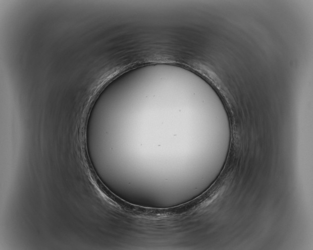X0000088400433200705220824