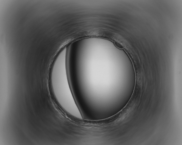 X0000088400434200705220824