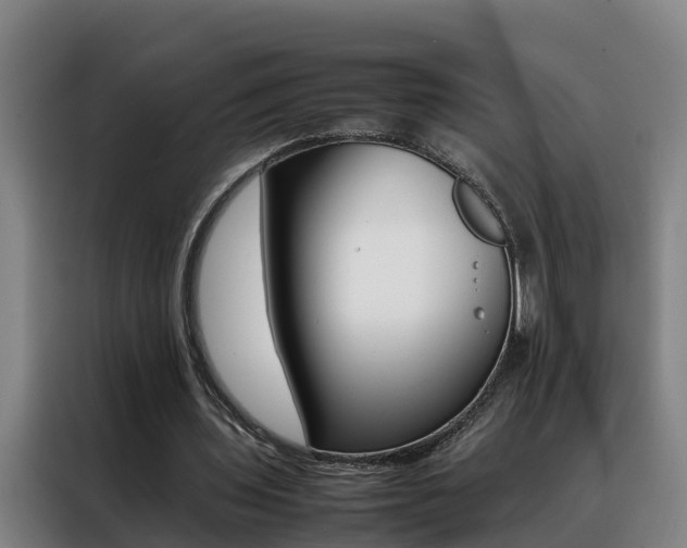 X0000088400435200705220824