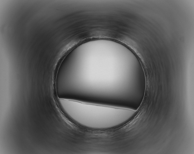 X0000088400437200705220824