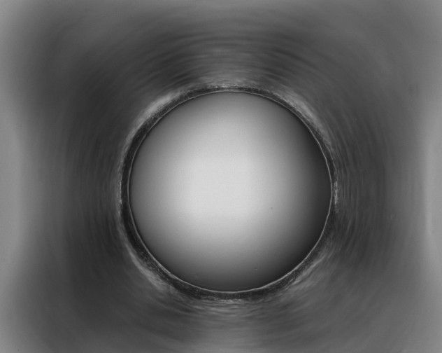 X0000088400438200705220824