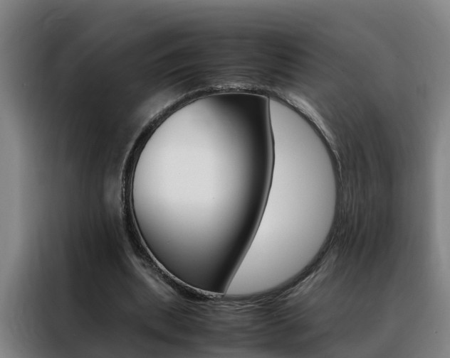 X0000088400439200705220824