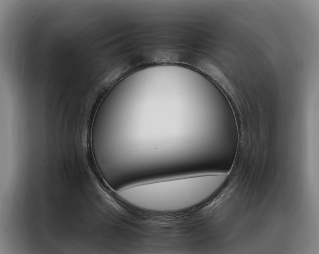 X0000088400441200705220824