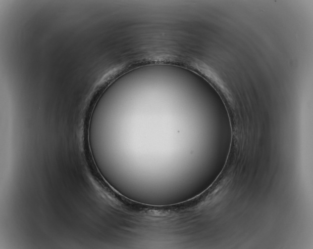 X0000088400442200705220824