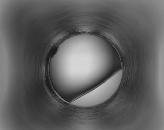 X0000088400444200705220825