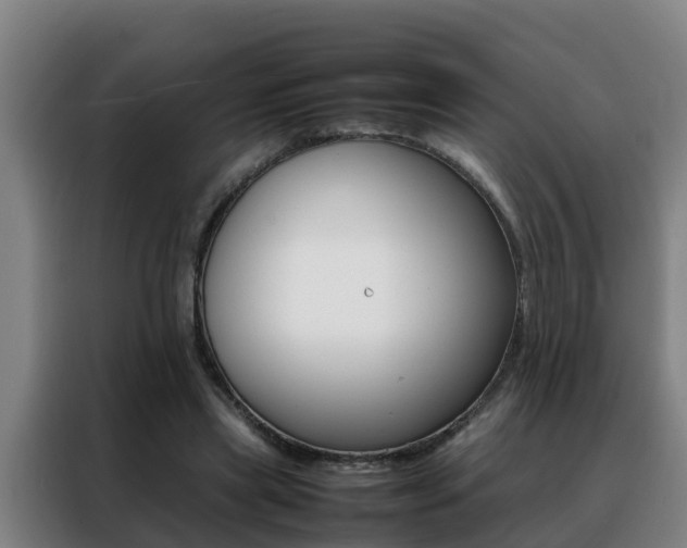 X0000088400445200705220825