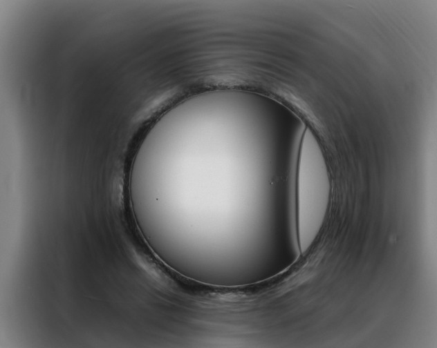 X0000088400446200705220825