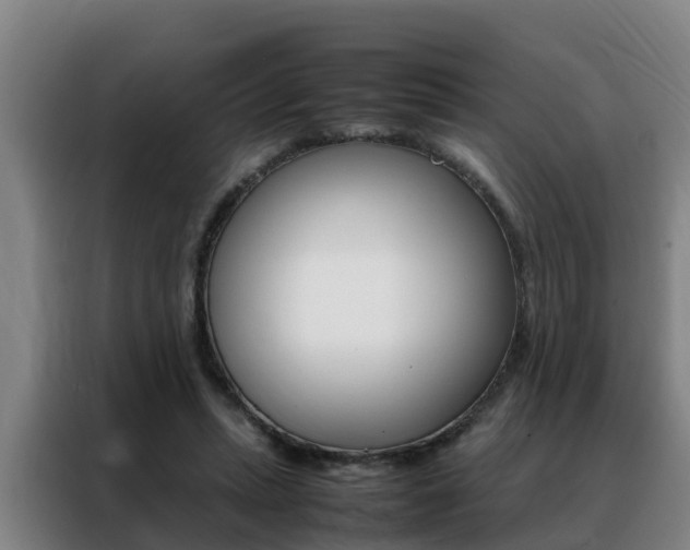X0000088400447200705220825