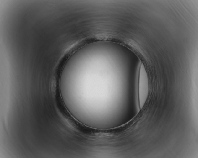 X0000088400448200705220825