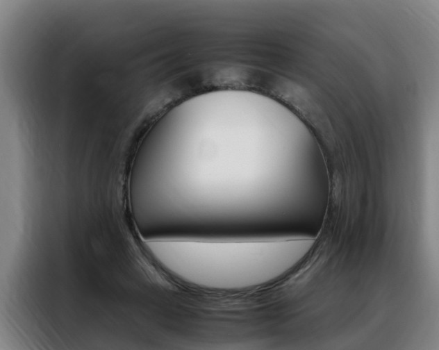 X0000088400449200705220825