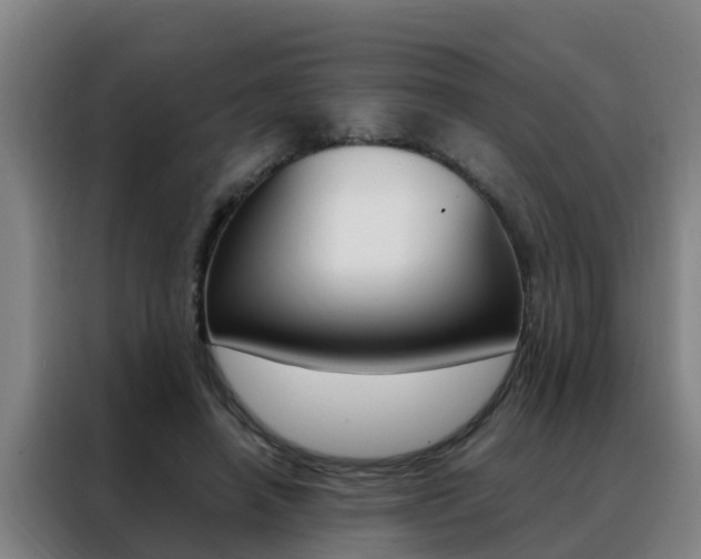 X0000088400450200705220825