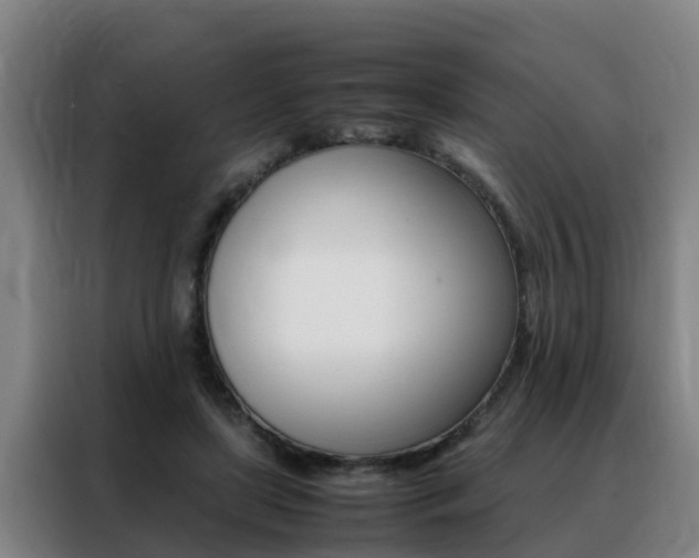 X0000088400451200705220825