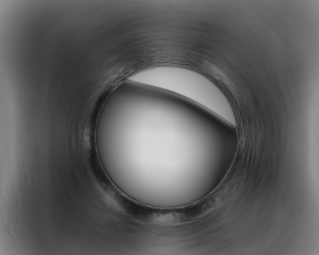 X0000088400452200705220825