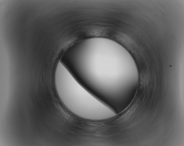 X0000088400453200705220825