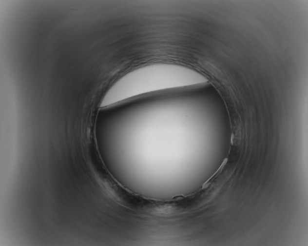 X0000088400456200705220825