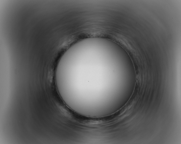 X0000088400458200705220825