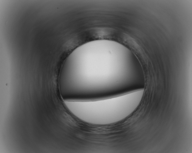 X0000088400461200705220825