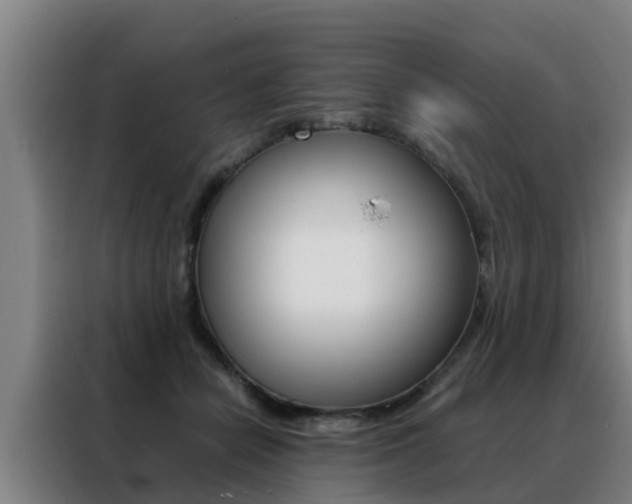 X0000088400462200705220825