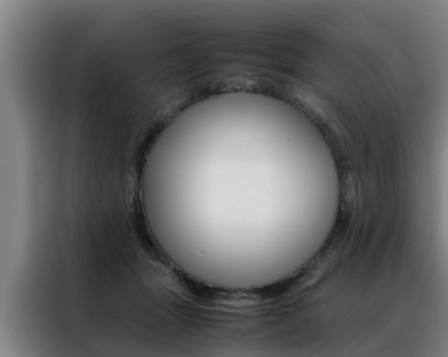 X0000088400463200705220825