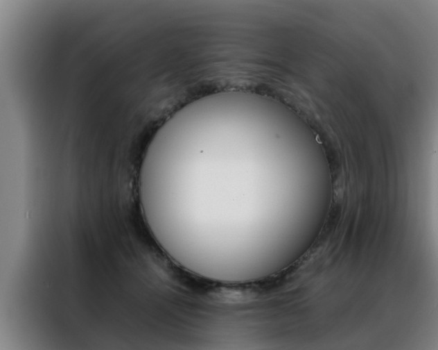 X0000088400464200705220825