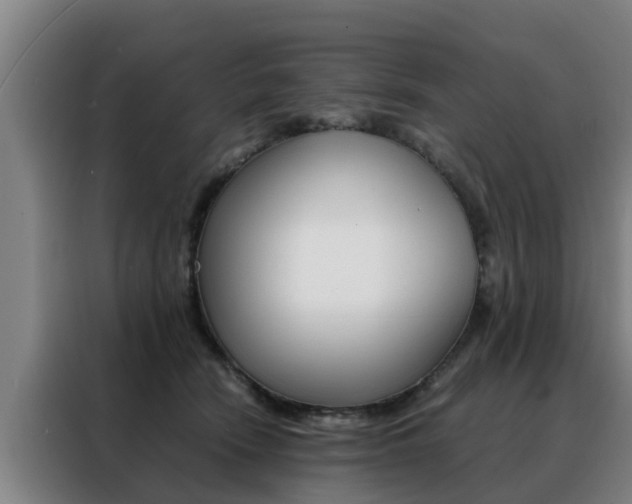 X0000088400466200705220825