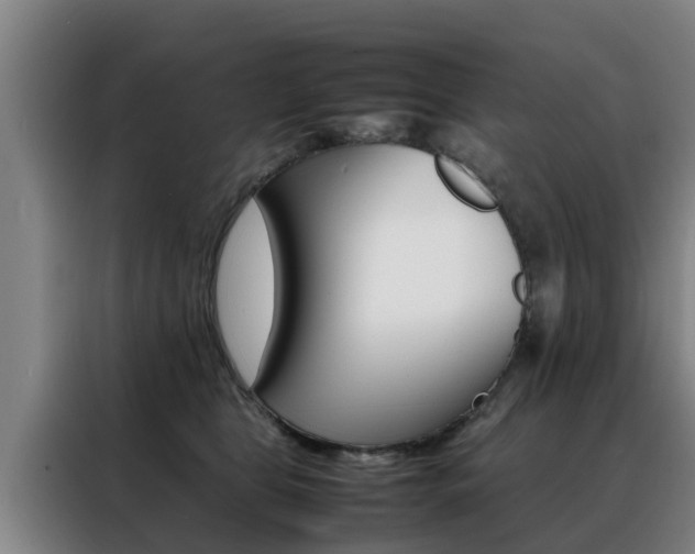 X0000088400469200705220825