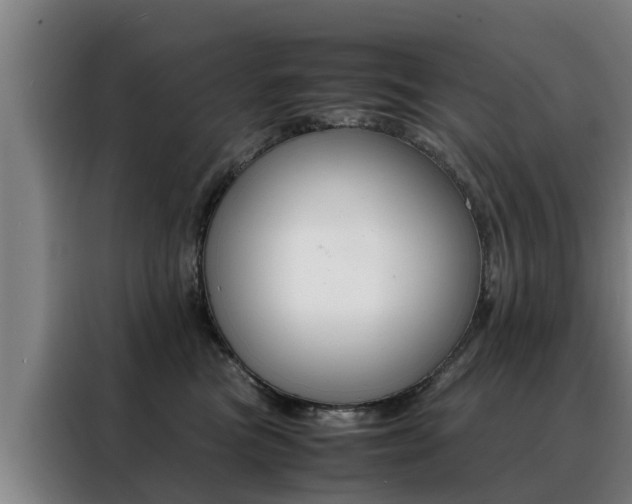 X0000088400473200705220825