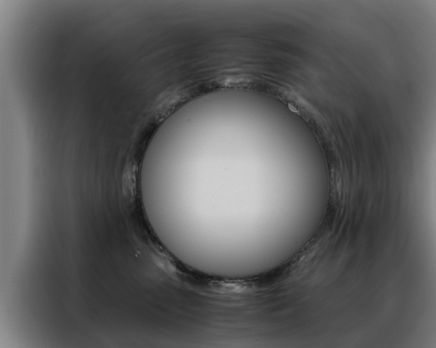 X0000088400475200705220825
