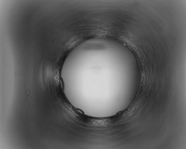 X0000088400479200705220825