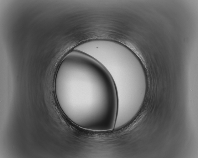X0000088400481200705220824