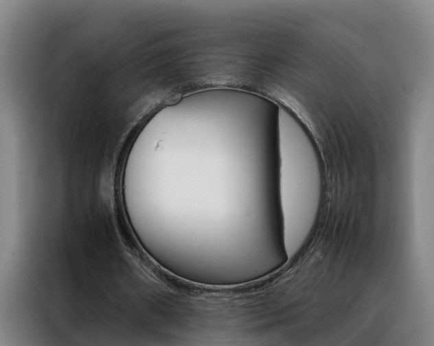 X0000088400482200705220824