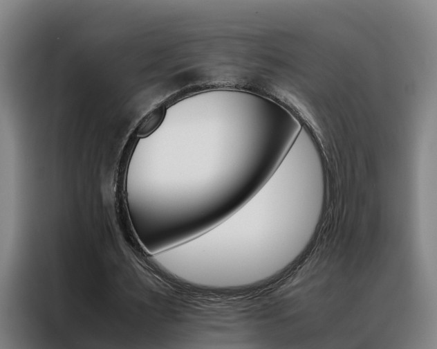 X0000088400483200705220824