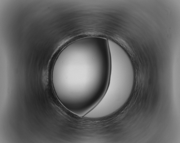 X0000088400484200705220824