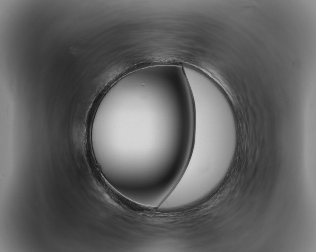 X0000088400485200705220824