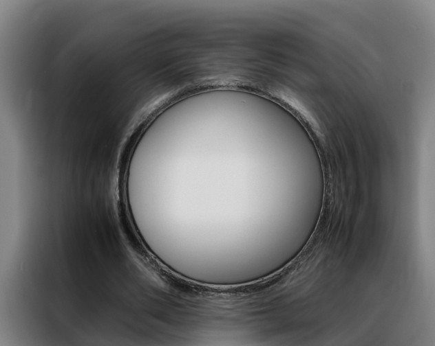 X0000088400486200705220824