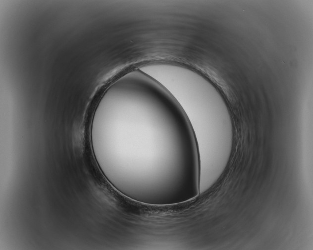 X0000088400488200705220824