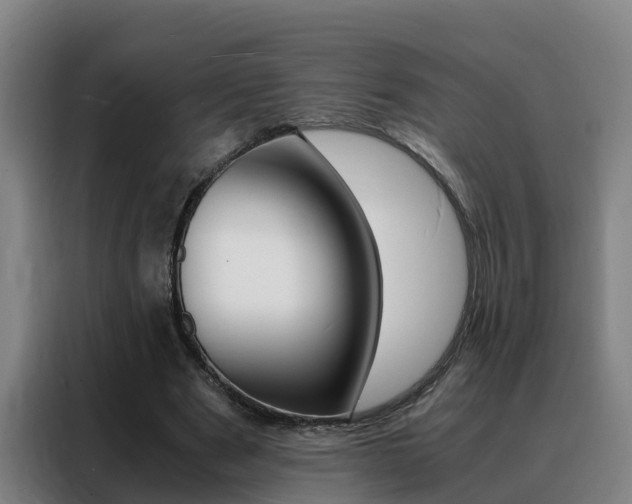 X0000088400489200705220824