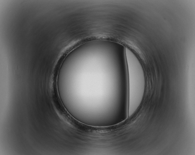 X0000088400492200705220824