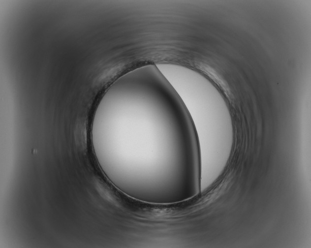 X0000088400493200705220824