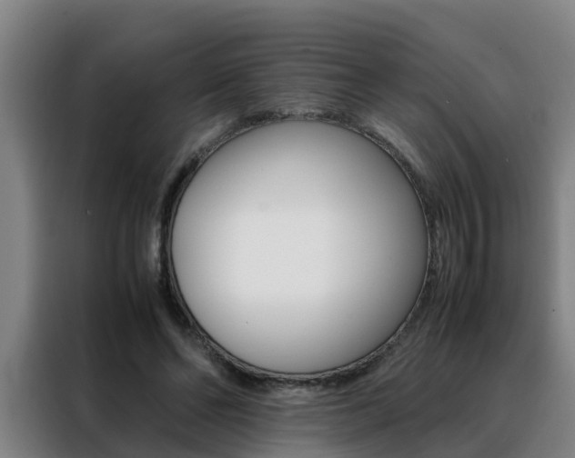 X0000088400494200705220824