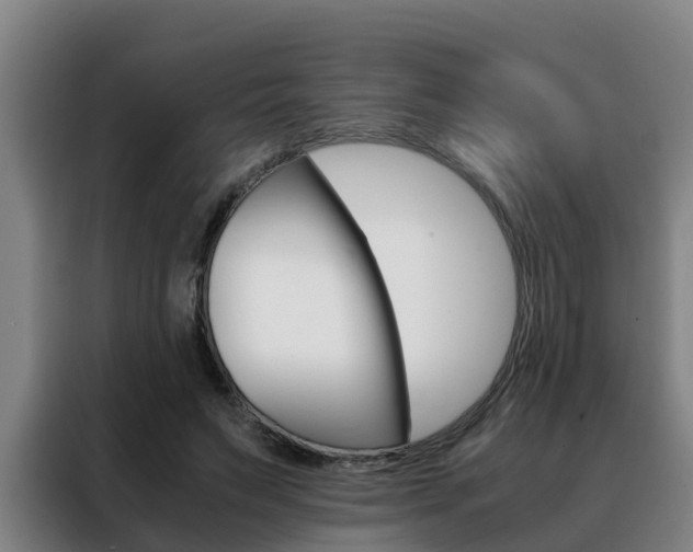 X0000088400495200705220824