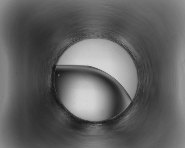 X0000088400497200705220824